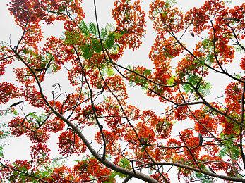 粉丝将Duel Sense手柄改成“单手手柄” 一个人也能玩《双人成行》