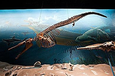 《暗黑不朽》PC端预下载开启 亚太区7月8日上线